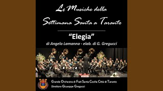 Elegia Feat. Angelo Lamanna Funeral March Version