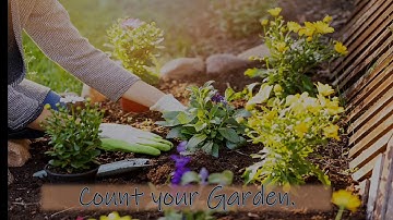 Std-5; Count your Garden; Maharashtra Board; SSC board; English Medium; English Subject