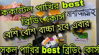 ককাটেল পাখির ব্রিডিং কোর্স | পাখির ব্রিডিং কোর্স | Cockatiel Bird Breeding  course
