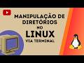 LINUX PELO TERMINAL: COMANDOS ESSENCIAIS DE DIRETÓRIOS