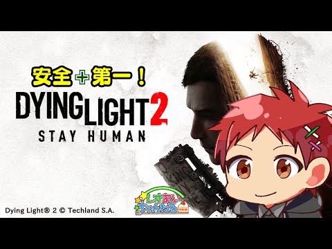 【DYING LIGHT2】ビビりは絶対安全圏から攻撃する【ゾンビ＋オープンワールド＋パルクール】