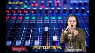 Bukit Berbunga  Nindy Sukma  Swara Nada  Dangdut Koplo Delay Effect 
