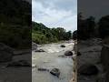 Day 6 - Vizag diaries | Araku valley.
