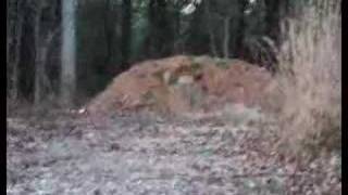 Cinder block shot with SKS