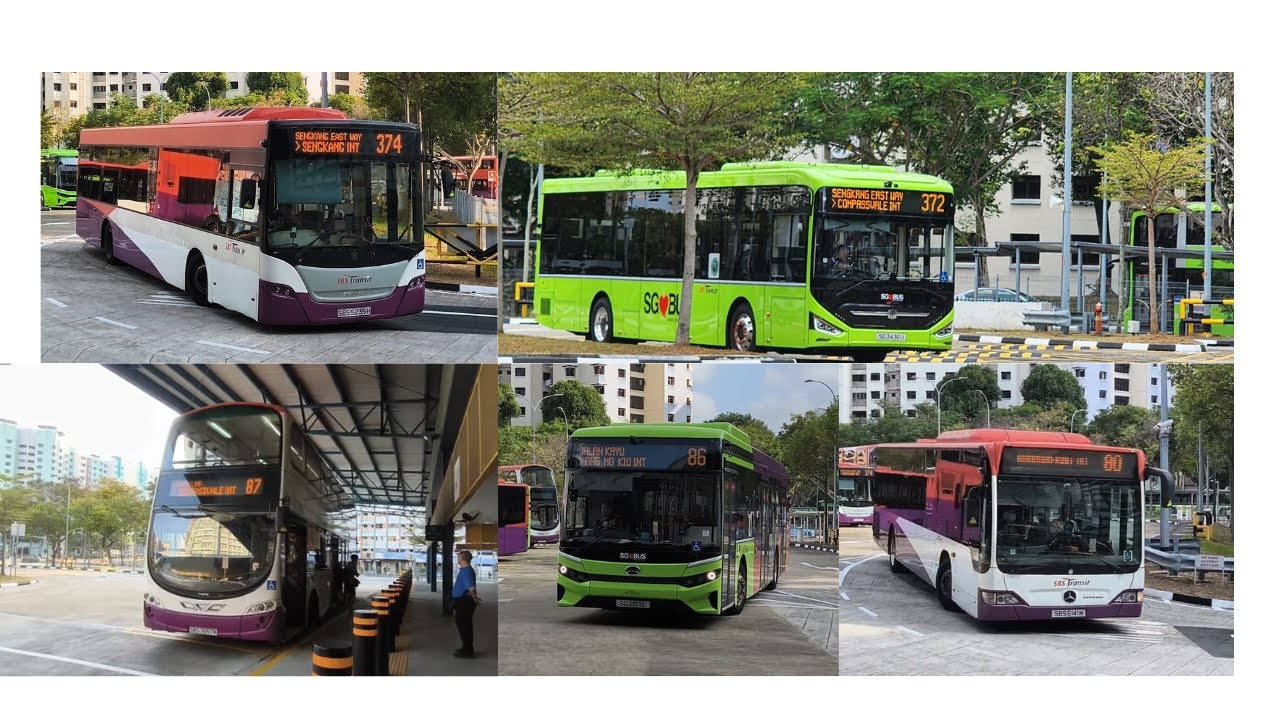 REPOENING of Compassvale bus int