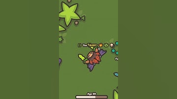 The most dumb taming.io clip you will ever see....