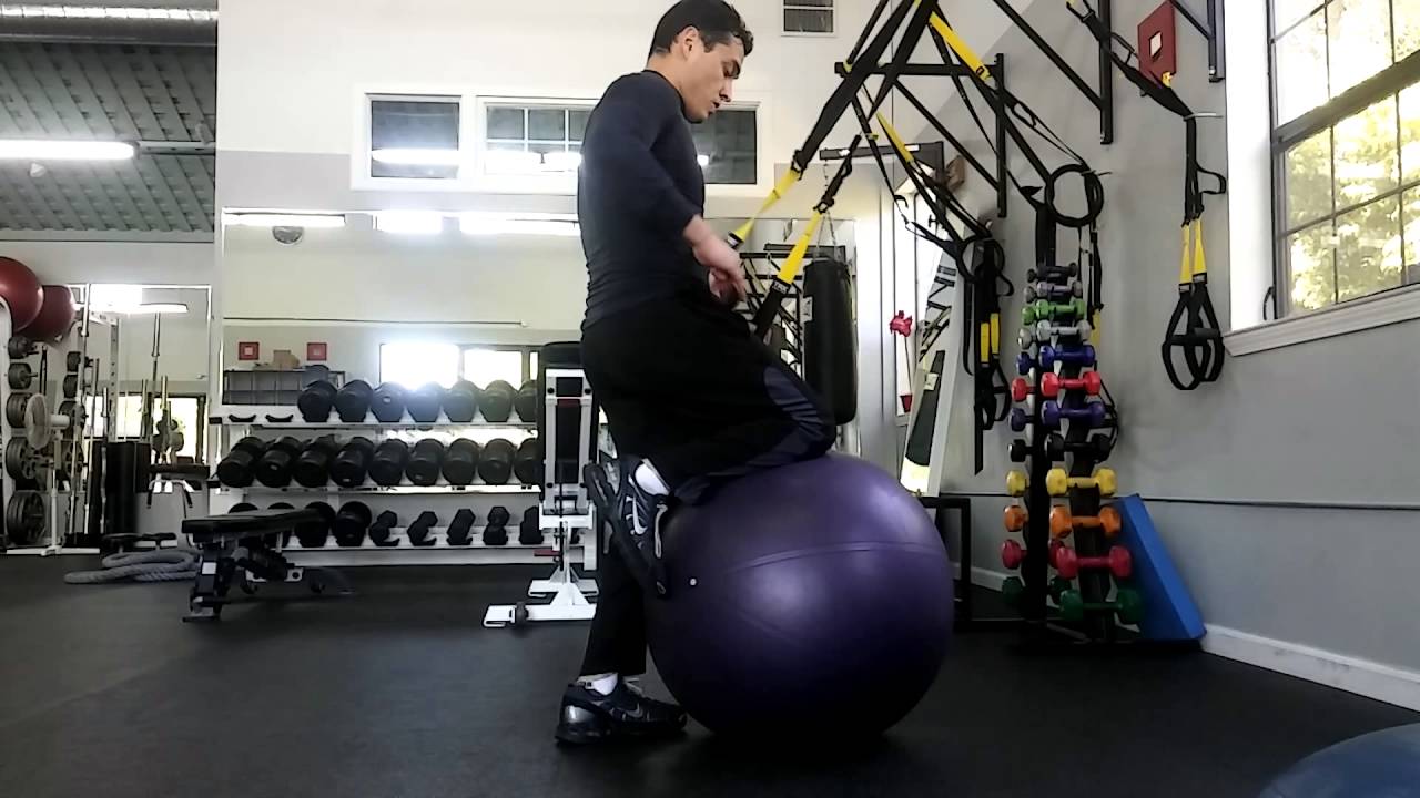 Stability Ball Rows Lvl 4 Strength/Stability...TRX and swiss ball rows - YouTube