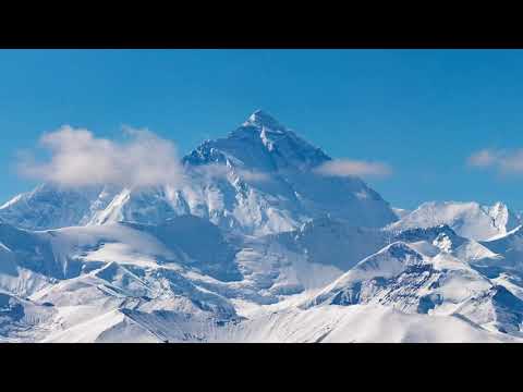 Видео: Лаканы бодит зүйл юу вэ?