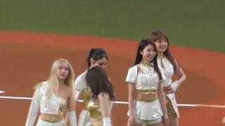 Update  BsGirls   2023.5.31 ＃オリックスバファローズ　＃オリックス　＃京セラドーム　#Bs2023 #BsGirls #プロ野球 #ORIX #BsGirls10th