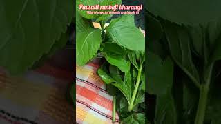 Pavsali Ranbhaji Bharangi पवसळ रनभज भरगचओळख व महत