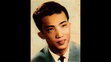 tình có như không - Nhật Trường - trước 1975