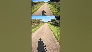 Oostvaardersplassen Bike Ride | Sunny Day POV #shorts