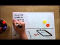 Applied Optimization with Star Wars Alpacas (KristaKingMath)