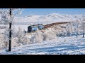 Empty and long Iron-ore gondola train through the winter scenery, Mongolia