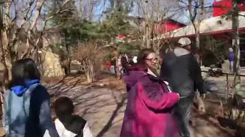 Philadelphia Zoo big cats falls