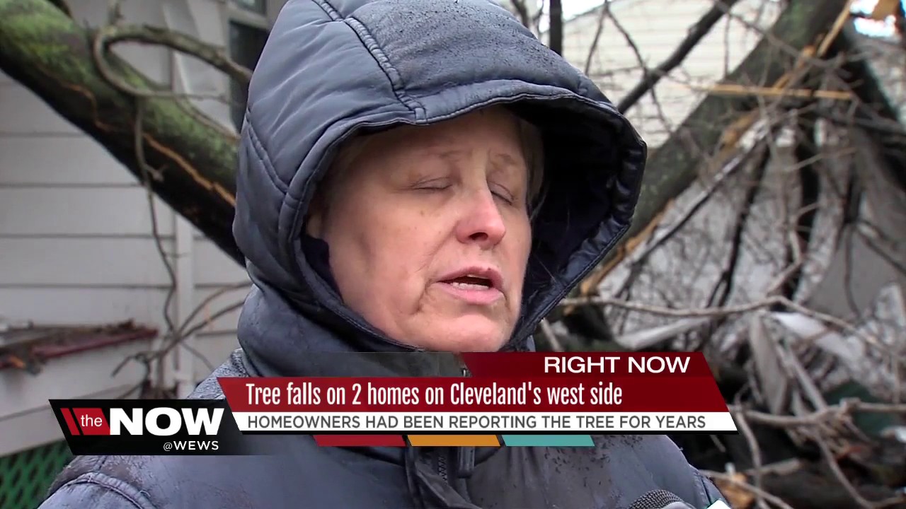 Tree falls on two homes on Cleveland's west side - YouTube