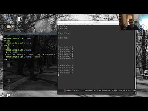 Using Emacs 42 - Git Gutter and Timemachine