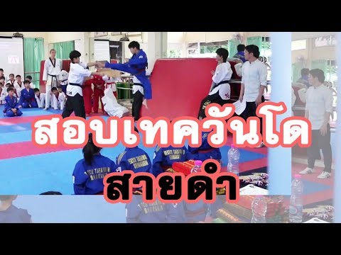 สอบเลื่อนสายเทควันโด สายดำดั้ง 1 และ 2 The Kick Taekwondo ศรีนครินทร์