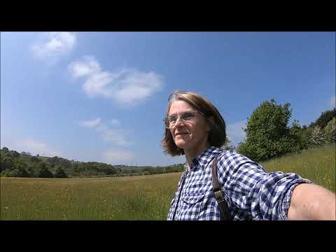 A Solo Walk In A Beautiful Place In Summer