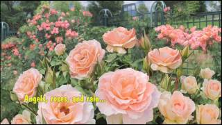 Chyi - Angels Roses and Rain齊豫- 天使玫瑰和雨絲