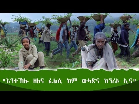 ንዝበረሱ ኣግራባትና ዳግም ንምሕዋይ ዝተኸልናዮም ፈልስታት ንኽፀድቁ ንንከባኸብ