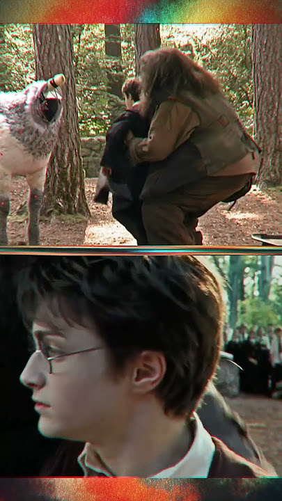 Harry Potter Buckbeak Scene Without CGI