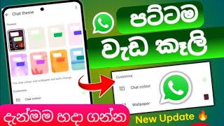 Top 03 WhatsApp new update in sinhala/ WhatsApp new update@ Sinhala Wiki