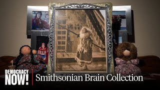 Inside the Smithsonian's "Racial Brain Collection" & the Eugenics Project Behind It