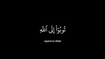 تلاوة ما تيسر من سورة التحريم بصوت جميل للقارئ الشيخ ياسر الدوسري🤍🎧
