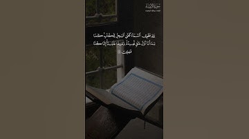 سورة الانبياء القارئ عبدالله الموسى {يَوْمَ نَطْوِي السَّمَاء كَطَيِّ السِّجِلِّ لِلْكُتُبِ}