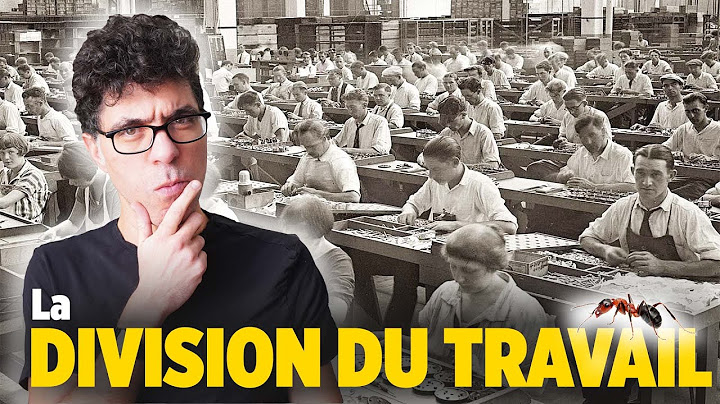 Peut-on travailler COMME DES FOURMIS ? 🐜 🐜 🐜