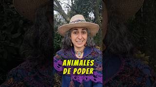 Los Animales de Poder son Guías...