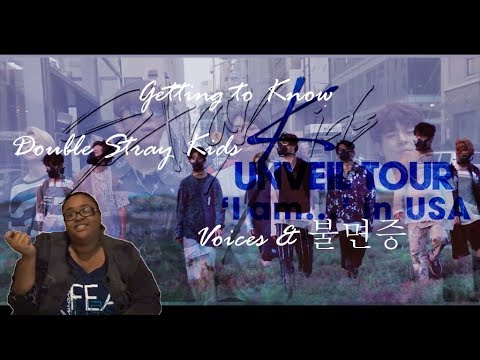 Stray Kids "Voices" Performance Video and "불면증" Video (Street Ver.) Reaction