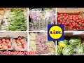 LIDL FRANCE ARRIVAGE 28-05 FRUITS LÉGUMES ET PLANTES 🍒🍓