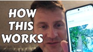 Malaysia Is Doing This With Trees… Why Isn’t the UK? 🌳