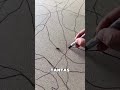 El Animal Le Ayudó A Pintar El Cuadro 🤯❤️