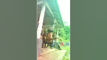 Mizo Infit Lutuk Che sual🤣🤣🤣