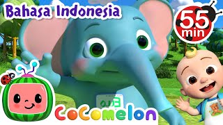 Download lagu Lagu Namaku | Cocomelon Bahasa Indonesia - Lagu Anak Anak mp3