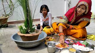 हलषष्ठी व्रत की पूजा करने की विधि, सामाग्री और सम्पूर्ण जानकारी Hal sashti vrat vidhi | harchat vrat