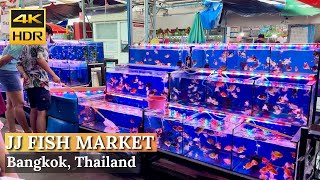 [BANGKOK] Chatuchak Fish Market "Exploring The Largest Fish Market In Bangkok"| Thailand [4K HDR]