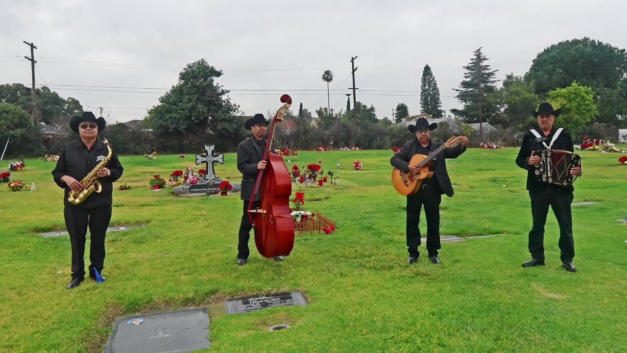 YouTube player