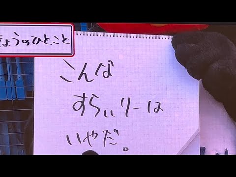 9/12 Tsubakuro makes Carp fans laugh with his joke about Slyly (Quote of the Day)
