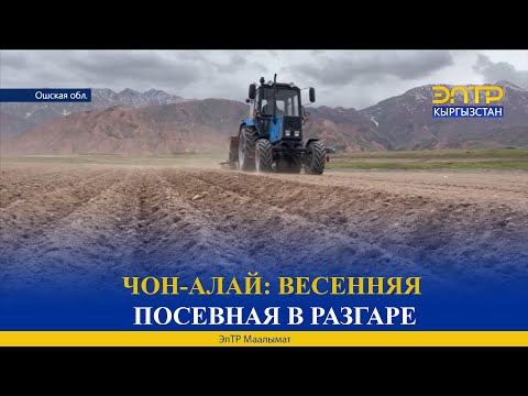ЧОН-АЛАЙ: ВЕСЕННЯЯ ПОСЕВНАЯ