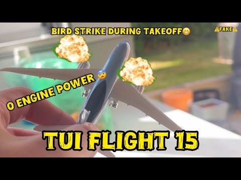 TUI flight 15 | model planes