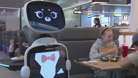 High Point restaurant now has robot servers