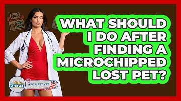 What Should I Do After Finding A Microchipped Lost Pet? - Ask A Pet Vet