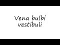 How to Pronounce Vena bulbi vestibuli?