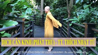 DỊCH CÂN KINH TRỊ BỆNH | TT. THÍCH NHẬT TỪ