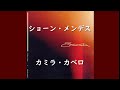 ショーン・メンデス & カミラ・カベロ『Señorita』| 和訳