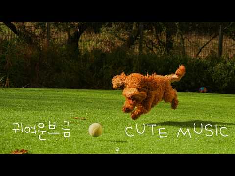 [밝고 귀여운브금] 공놀이 좋아 | 공! 공! 공놀이하자!
